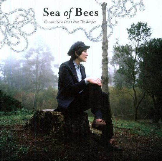 Cover for Sea of Bees · Gnomes (LP) (2011)