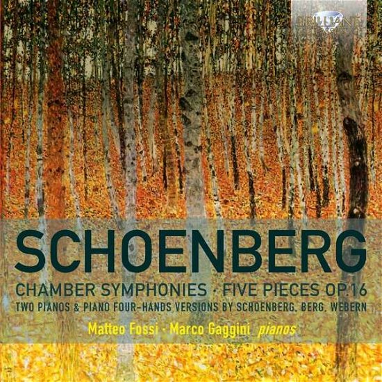 Chamber Symphonies / Five Pieces Op.16 - A. Schonberg - Musik - BRILLIANT CLASSICS - 5028421949574 - December 28, 2016