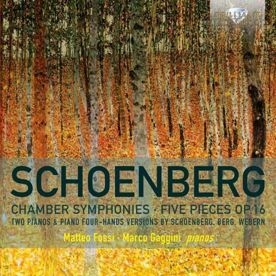 Chamber Symphonies / Five Pieces Op.16 - A. Schonberg - Musique - BRILLIANT CLASSICS - 5028421949574 - 28 décembre 2016