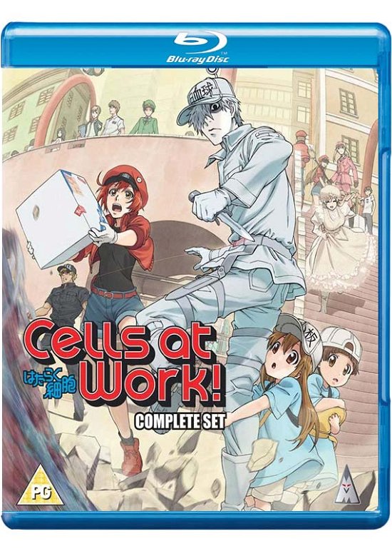 Cells At Work Collection - Anime - Películas - MVM Entertainment - 5060067008574 - 20 de enero de 2020