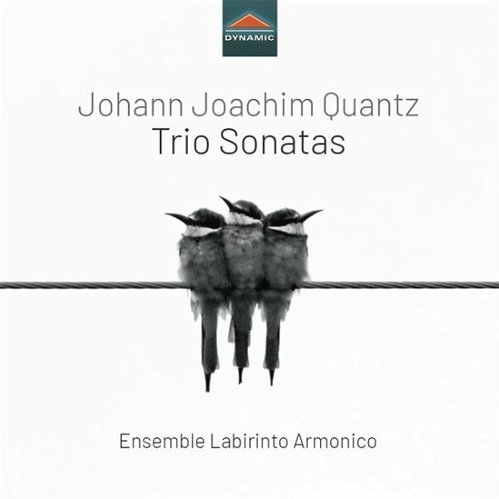 Cover for Ens Labirinto Armonico · Johann Joachim Quantz: Trio Sonatas (CD) (2022)