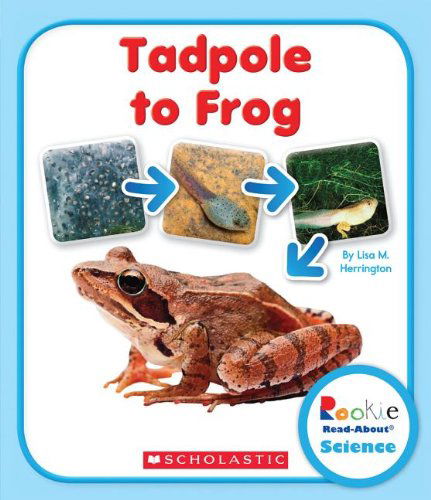 Cover for Lisa M. Herrington · Tadpole to Frog (Rookie Read-about Science) (Hardcover Book) (2014)