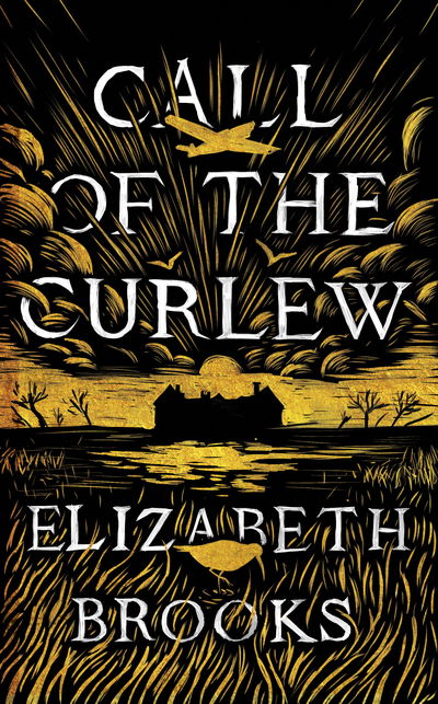 Cover for Elizabeth Brooks · Call of the Curlew (Inbunden Bok) (2018)