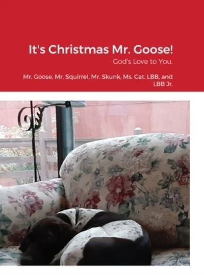 Cover for Alice Anne Townsend · It's Christmas Mr. Goose! (Book) (2021)
