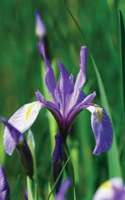 Cover for Jordan Wunderlich · Wild Blue Iris Journal (Gebundenes Buch) (2018)