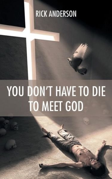 Cover for Rick Anderson · You Don't Have to Die to Meet God (Paperback Bog) (2014)