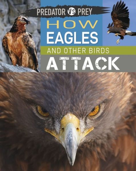 Cover for Tim Harris · Predator vs Prey: How Eagles and other Birds Attack - Predator vs Prey (Hardcover Book) [Illustrated edition] (2022)