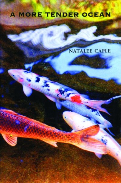 Cover for Natalee Caple · A More Tender Ocean (Paperback Book) (1994)