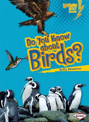 Cover for Buffy Silverman · Do You Know about Birds? - Lightning Bolt Books — Meet the Animal Groups (Paperback Book) (2009)