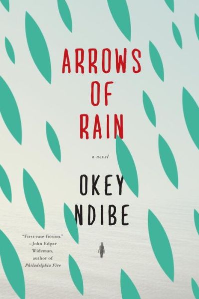 Cover for Okey Ndibe · Arrows of Rain (Paperback Book) (2015)