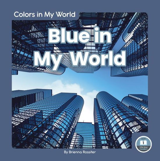 Cover for Brienna Rossiter · Blue in My World - Colors in My World (Hardcover Book) (2020)