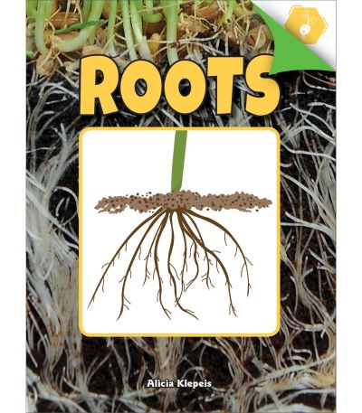 Cover for Alicia Klepeis · Roots (Paperback Book) (2017)