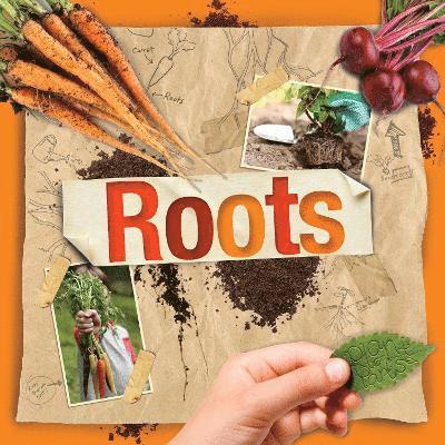 Cover for Steffi Cavell-Clarke · Roots - Plant Parts (Paperback Book) (2025)