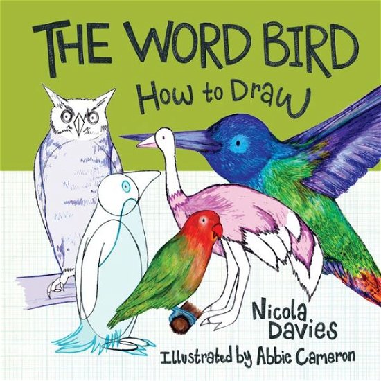 Cover for Nicola Davies · The How to Draw: Word Bird (Pocketbok) (2018)