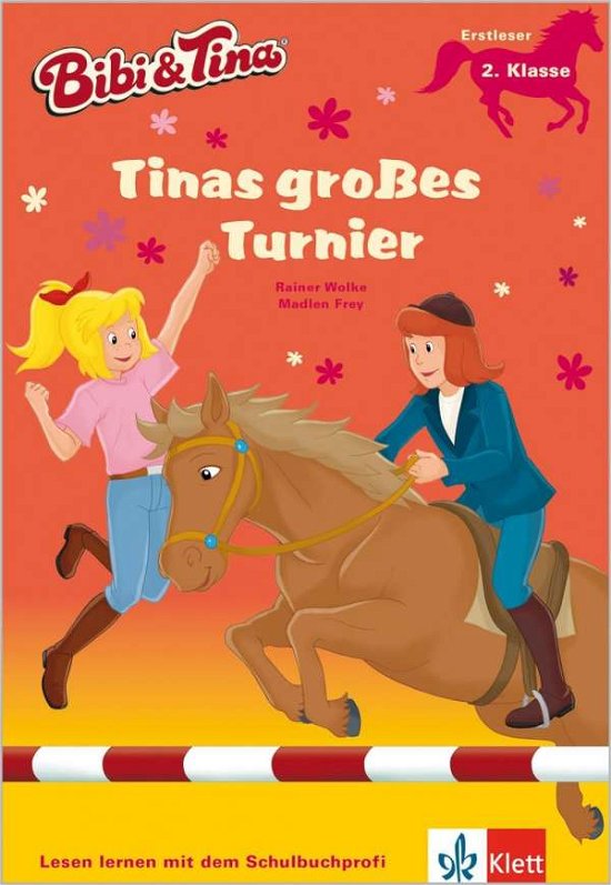 Cover for Wolke · Tinas großes Turnier (Buch)
