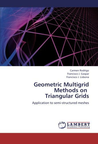 Cover for Francisco J. Lisbona · Geometric Multigrid  Methods on   Triangular Grids: Application to Semi-structured Meshes (Paperback Book) (2012)