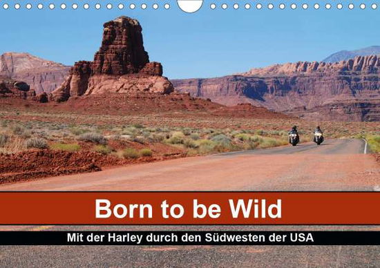 Born to be Wild - Mit der Harle - Kärcher - Książki -  - 9783671542574 - 