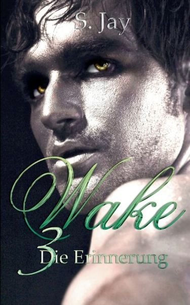 Cover for Jay · Wake 3 - Die Erinnerung (Book) (2018)