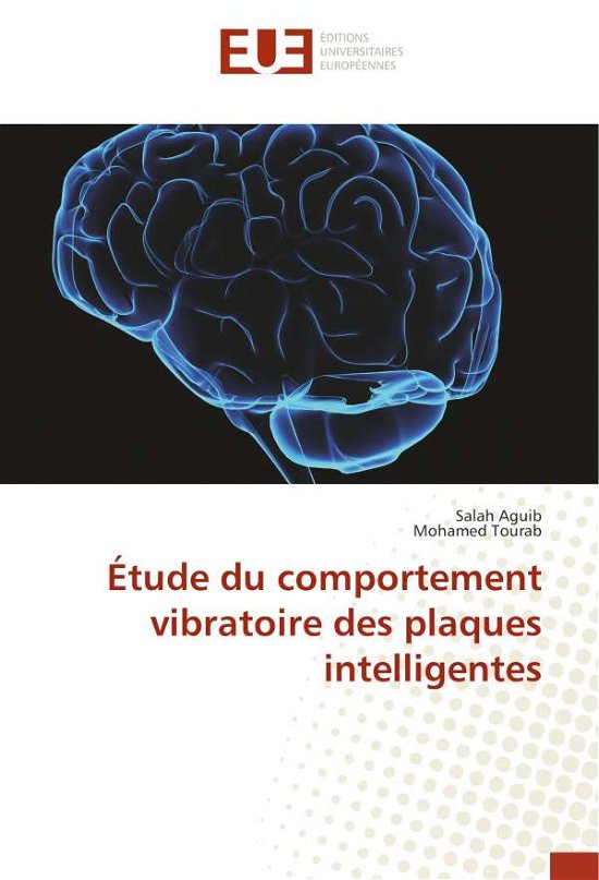 Cover for Aguib · Étude du comportement vibratoire (Bok) (2019)