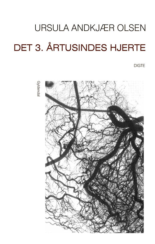 Cover for Ursula Andkjær Olsen · Det 3. årtusindes hjerte (Sewn Spine Book) [1.º edición] (2012)