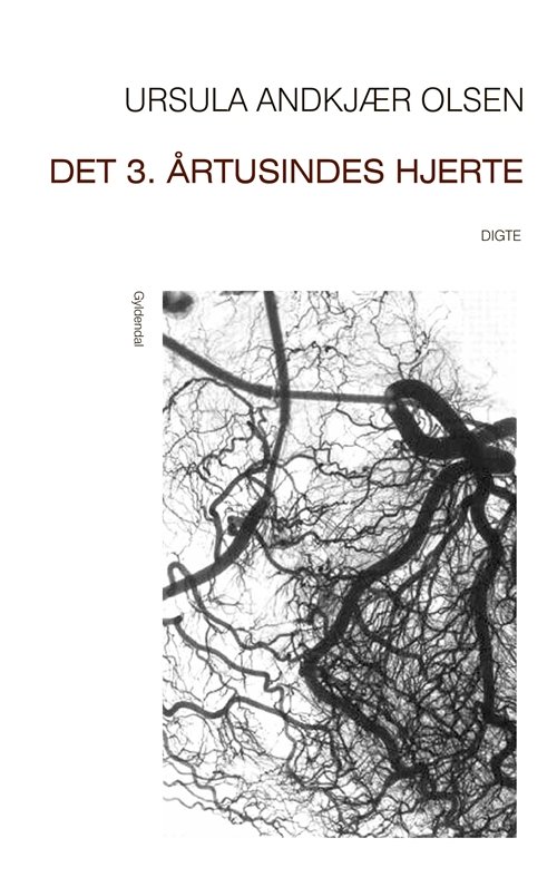 Cover for Ursula Andkjær Olsen · Det 3. årtusindes hjerte (Heftet bok) [1. utgave] (2012)