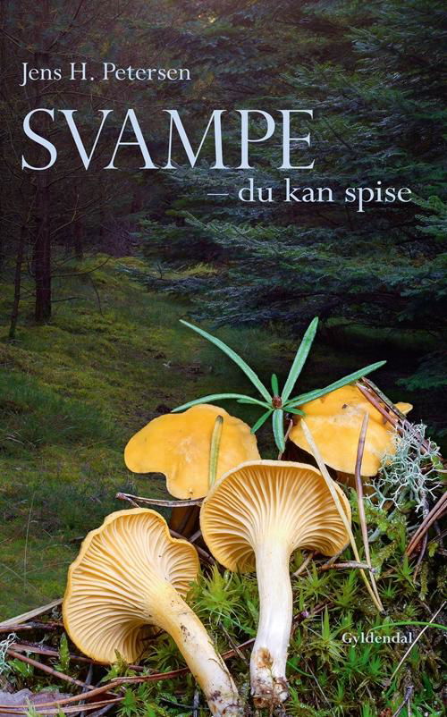 Cover for Jens H. Petersen · Svampe - du kan spise (Bound Book) [1e uitgave] [Indbundet] (2014)