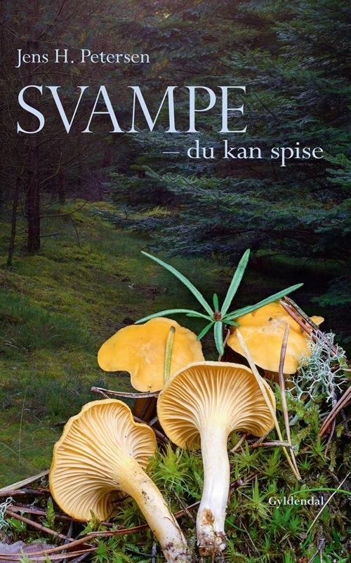 Cover for Jens H. Petersen · Svampe - du kan spise (Gebundesens Buch) [1. Ausgabe] [Indbundet] (2014)
