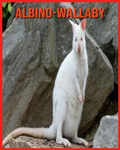 Cover for Alicia Moore · Albino-Wallaby (Paperback Book) (2021)