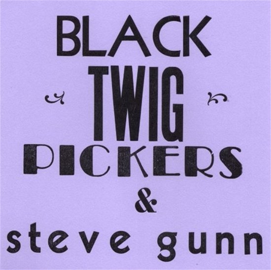 Cover for Black Twig Pickers &amp; Steve Gun · Lonesome Vally (LP) [Limited edition] (2013)