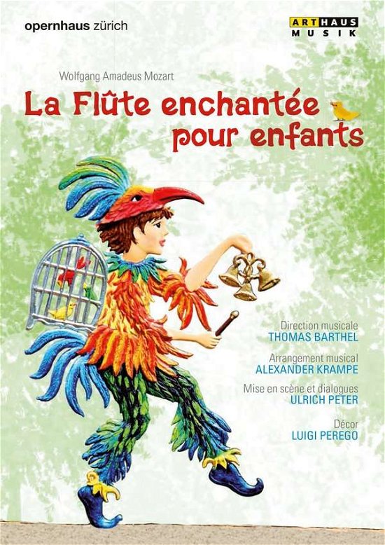 Cover for Orchestra of the Zurich Oper · La Flute Enchantee Pour Enfant (DVD) (2016)