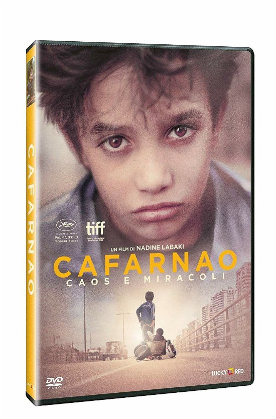 Cover for Yordanos Shifera Zain Alrafeea · Cafarnao - Caos E Miracoli (DVD) (2020)