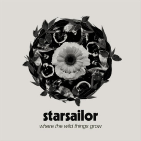 Where The Wild Things Grow - Starsailor - Musik - TOWNSEND - 5060148575575 - 22. marts 2024