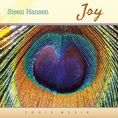 Joy - Steen Hansen - Musiikki - FONIX MUSIC - 5709027212575 - torstai 26. toukokuuta 2005