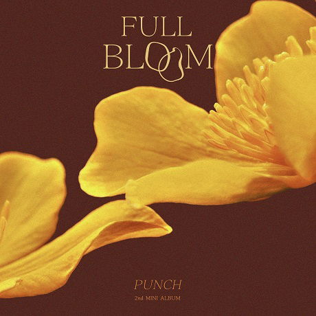 Cover for Punch · Full Bloom (CD) (2021)