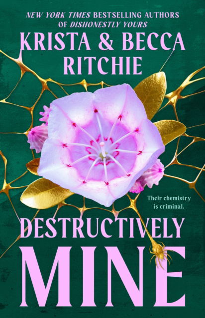 Cover for Krista Ritchie · Destructively Mine (Book) (2025)