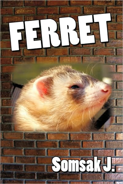 Cover for J Somsak J · Ferret (Hardcover Book) (2010)