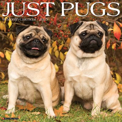 Willow Creek Press · Just Pugs 2025 12 X 12 Wall Calendar (Kalender) (2024)