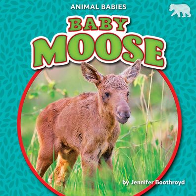 Cover for Jennifer Boothroyd · Baby Moose (Hardcover Book) (2022)