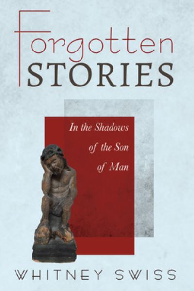 Cover for Stephen W Shanley · Forgotten Stories: In the Shadows of the Son of Man (Paperback Book) (2020)