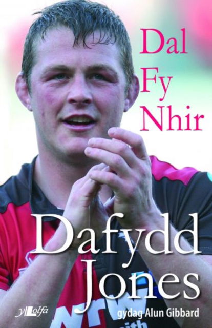 Dal fy Nhir - Hunangofiant Dafydd Jones - Dafydd Jones - Books - Y Lolfa - 9781847713575 - 