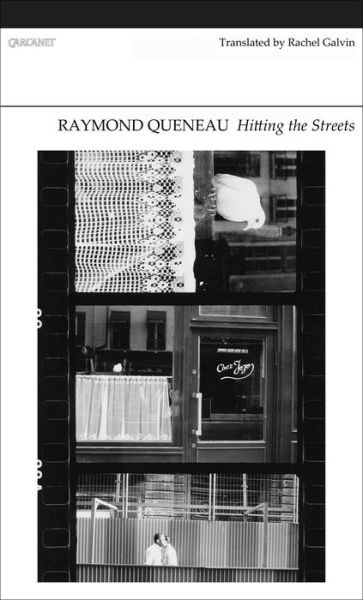 Cover for Raymond Queneau · Hitting the Streets (Paperback Book) (2013)