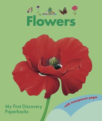 Cover for Rene Mettler · Flowers - My First Discovery Paperbacks (Paperback Book) (2023)