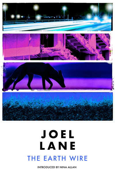 Cover for Joel Lane · The Earth Wire (Paperback Book) (2020)