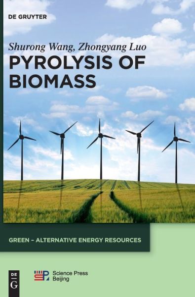 Cover for Wang · Pyrolysis of Biomass (Bok) (2016)