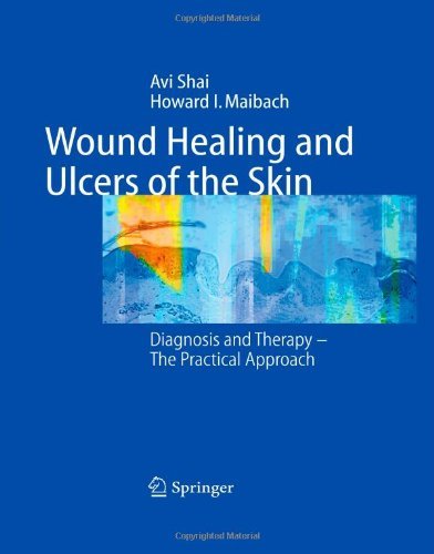 Cover for Avi Shai · Wound Healing and Ulcers of the Skin: Diagnosis and Therapy - The Practical Approach (Taschenbuch) [Softcover reprint of hardcover 1st ed. 2005 edition] (2010)