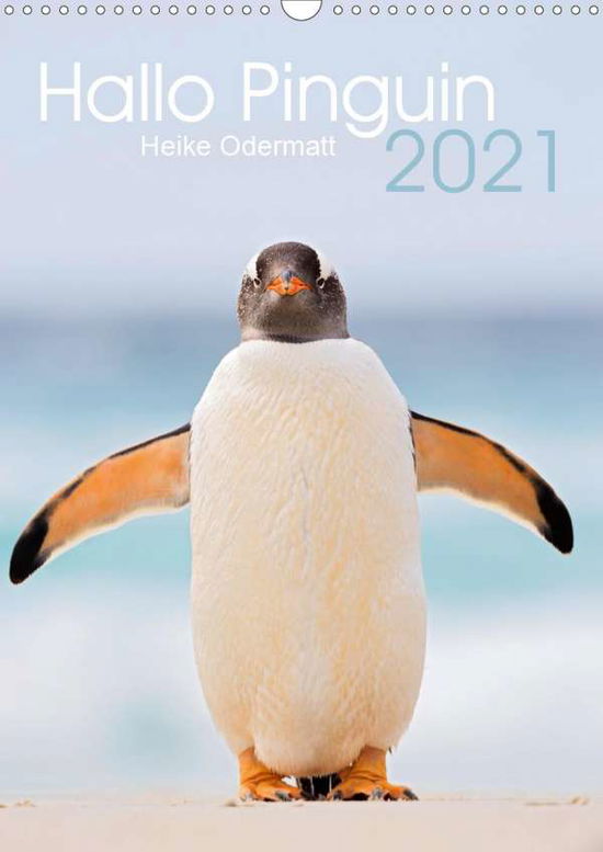 Cover for Odermatt · Hallo Pinguin (Wandkalender 20 (Book)