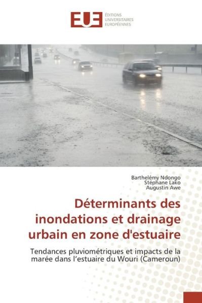 Cover for Ndongo Barthelemy · Determinants Des Inondations et Drainage Urbain en Zone D'estuaire (Pocketbok) (2018)
