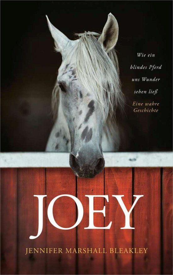 Cover for Bleakley · Joey - Wie ein blinde (Buch)