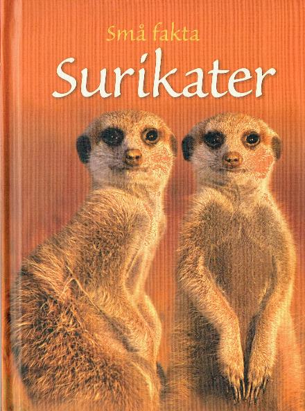 Cover for James Maclaine · Små fakta: Små fakta: Surikater (Inbunden Bok) [1:a utgåva] (2018)