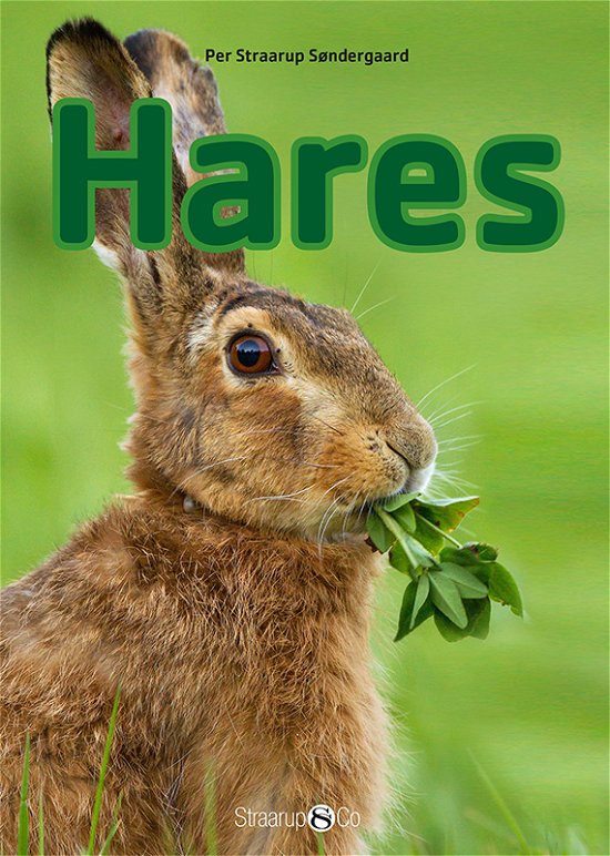 Cover for Per Straarup Søndergaard · Mini English: Hares (Hardcover Book) [1. Painos] (2018)